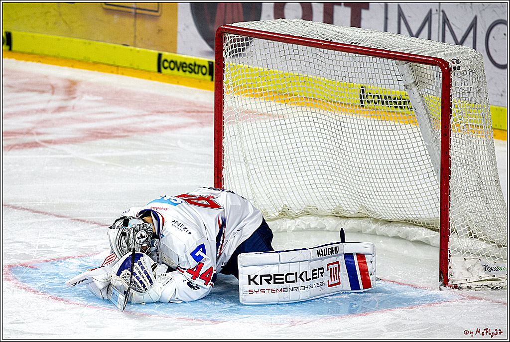 DEL; Koelner Haie - Adler Mannheim, 05.04.2019